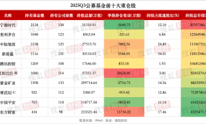 基金重仓股洗牌：中际旭创、新易盛跻身前五，基金经理反思“老登”困境