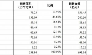 迎来新掌门的万科，未来怎么办？