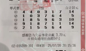 球迷10元机选揽7星彩500万 先把奖金存起来-票