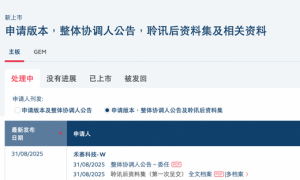 禾赛科技通过港交所聆讯,中概股回港“破冰”