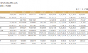 华安证券投资净收益不到国元证券六成 整体业绩、资产规模均逊色|券商半年报
