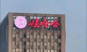 纪委终于出手,宗馥莉压力大