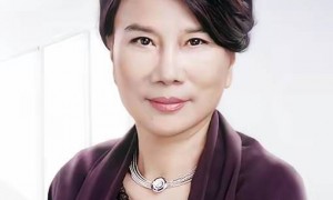 董明珠躲过了闻泰科技这一劫,是运气好,还是早有预见?