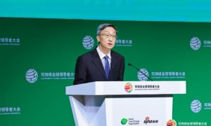 工行行长刘珺多维度解读可持续发展:动态平衡是核心,良性新陈代谢促市场活力